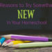 3 Reasons to Try Something Different in Your Homeschool